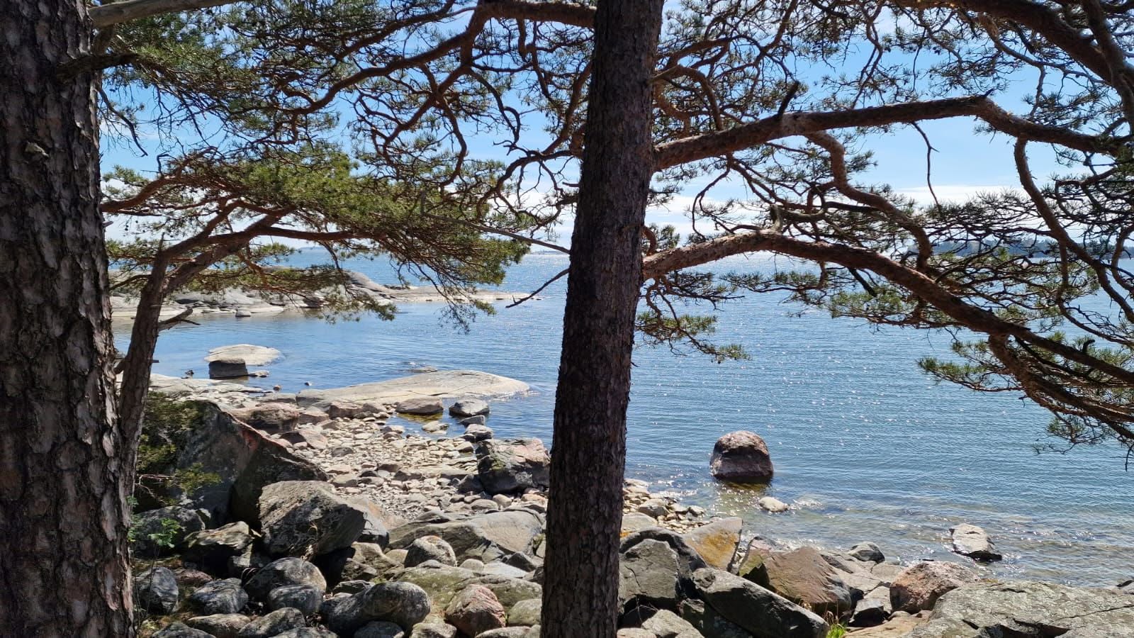 yogahealth.fi
